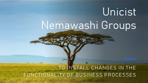 Unicist N Groups: Unicist Nemawashi Groups Prepare for Structural Changes in Process Functionality